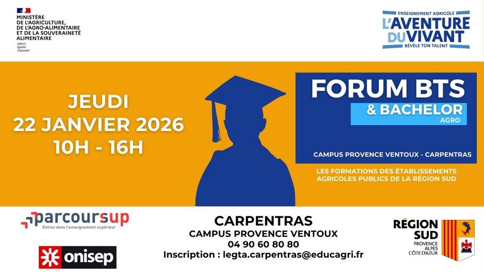 FORUM BTS ET BACHELOR